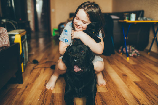 Dog and cat protected from parasites with monthly flea and worm treatments